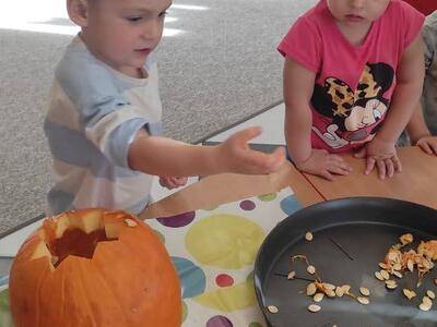 IMG-20231030-WA0004