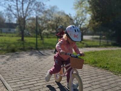 IMG_20240412_100456