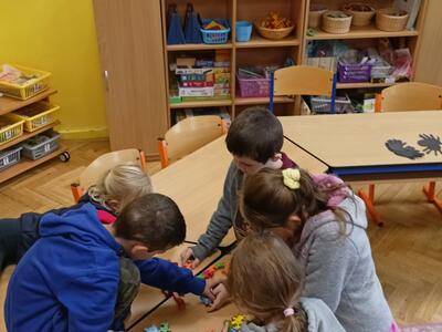 IMG20241106112654