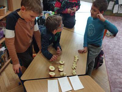 IMG_20241114_111217