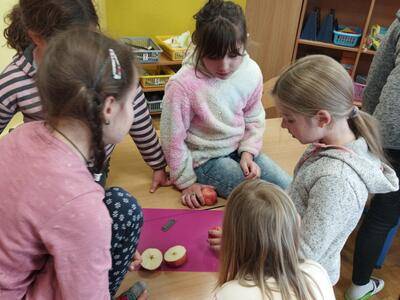 IMG_20241114_111038