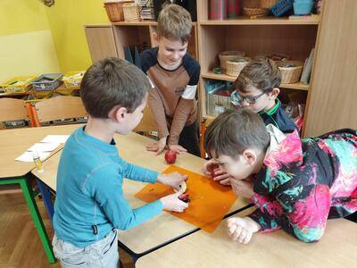 IMG_20241114_110758