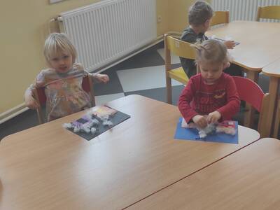 IMG_20250116_095223