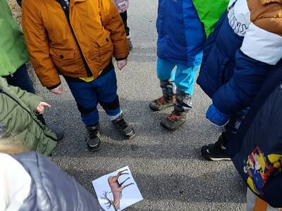 IMG_20250226_093654
