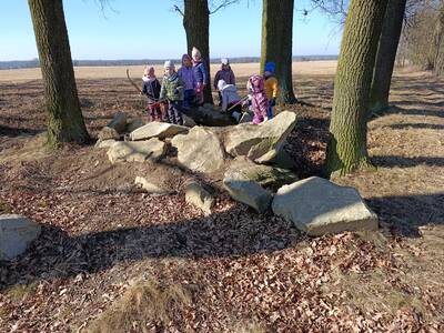 IMG_20250305_100146