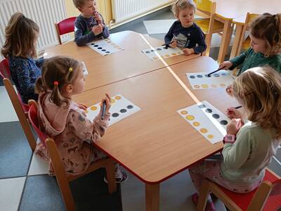 IMG_20250306_093648