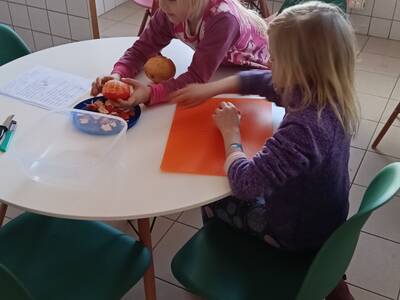 IMG20250306105333