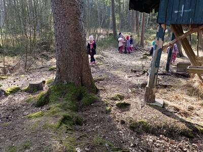 IMG_20250310_101606