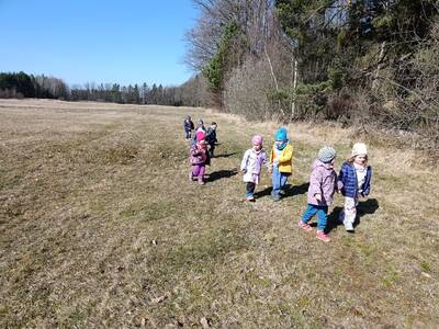 IMG_20250321_103648