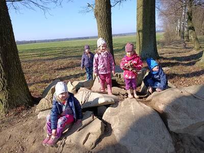 IMG_20250403_103729