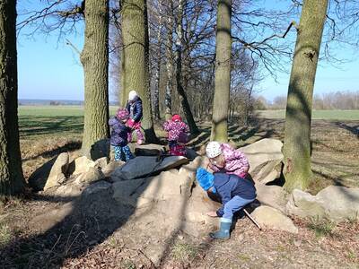 IMG_20250403_100241