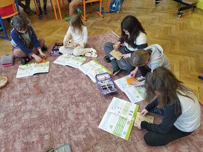 IMG_20250403_084319