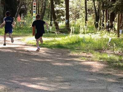 IMG_20250502_100308