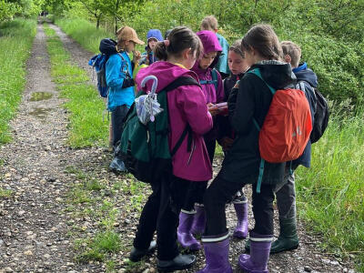 8AF971B0-CCDE-4A91-BD28-2FB959161F17