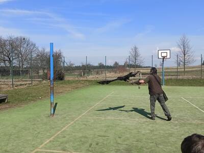 IMG20260323110245