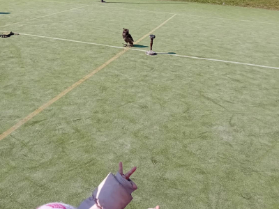 20260323_102644
