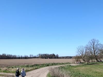 IMG_20260408_193418