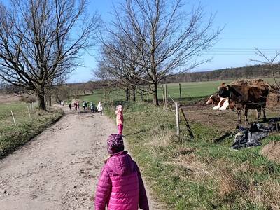 IMG_20260408_193447