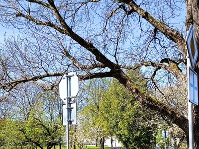 IMG_20260424_114644