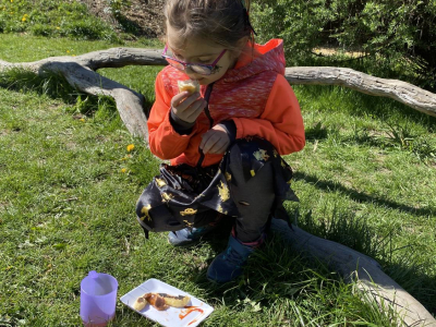 IMG_1632