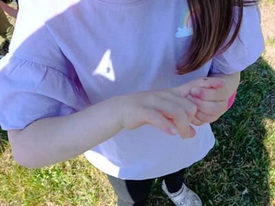 IMG_20260505_113502
