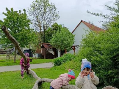 IMG_20260514_122251