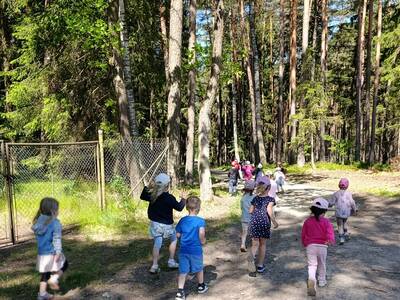 IMG_20260528_113436