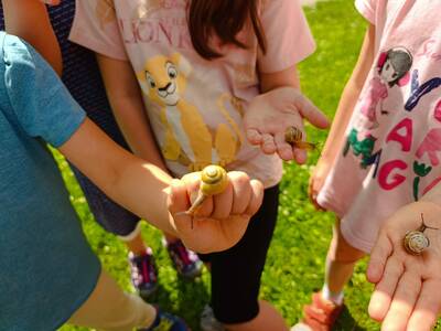 IMG_20260604_102909