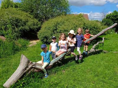IMG_20260604_122831