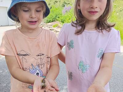 IMG_20260617_112202