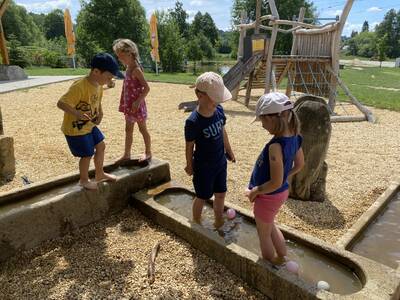 IMG_2201